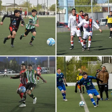 Torneo Regional Federal Amateur en Río Gallegos: horarios confirmados de Escorpión, Boxing, UPP y Bancruz para el fin de semana Torneo Regional Federal Amateur en Río Gallegos: horarios confirmados de Escorpión, Boxing, UPP y Bancruz para el fin de semana