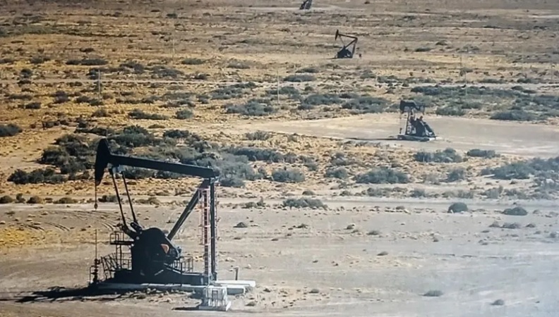  Frenar el declino en el Golfo San Jorge. El gran desafío de Santa Cruz.