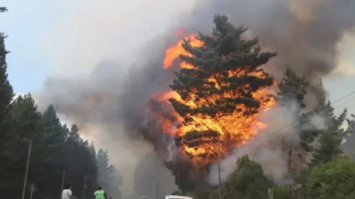 Voraz incendio forestal en Epuyén ya arrasó más de 200 hectáreas: una mujer se declaró culpable