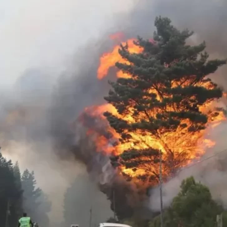 Por el avance del fuego en Chubut: cortan el tránsito en la Ruta 40 entre Epuyén y El Hoyo Por el avance del fuego en Chubut: cortan el tránsito en la Ruta 40 entre Epuyén y El Hoyo