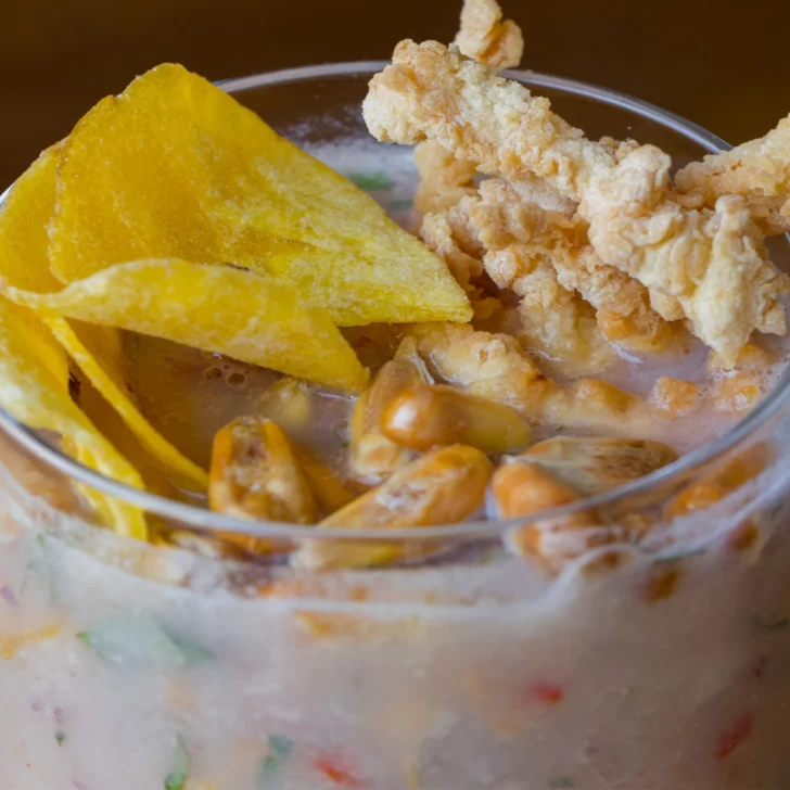 lechetigre-receta-728x728 lechetigre-receta-728x728