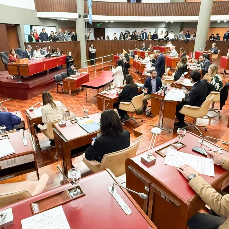 Cómo sigue el escándalo de la pesca en Chubut: Red Chamber, Profand, la Legislatura y la ampliación de los permisos de langostino Cómo sigue el escándalo de la pesca en Chubut: Red Chamber, Profand, la Legislatura y la ampliación de los permisos de langostino