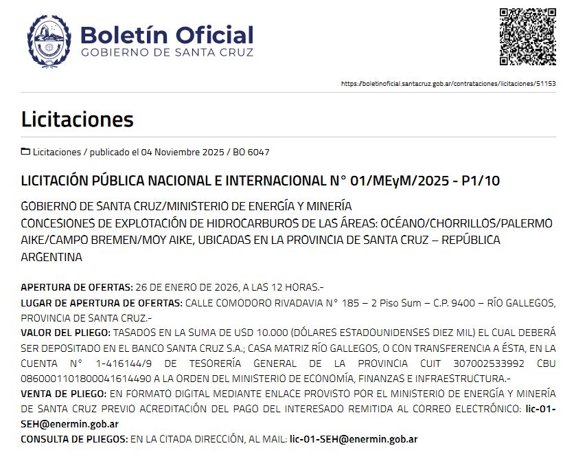  La licitación pública nacional e internacional fue publicada en el Boletín Oficial de este martes.