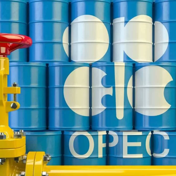 La OPEP+ aumentará la producción desde diciembre y desde las cuencas maduras argentinas observan con atención La OPEP+ aumentará la producción desde diciembre y desde las cuencas maduras argentinas observan con atención