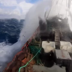 Suspendieron la prospección del langostino en aguas de Chubut pero habilitarán la temporada para la zona norte