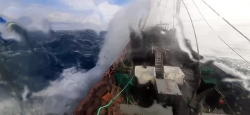 Suspendieron la prospección del langostino en aguas de Chubut pero habilitarán la temporada para la zona norte Suspendieron la prospección del langostino en aguas de Chubut pero habilitarán la temporada para la zona norte