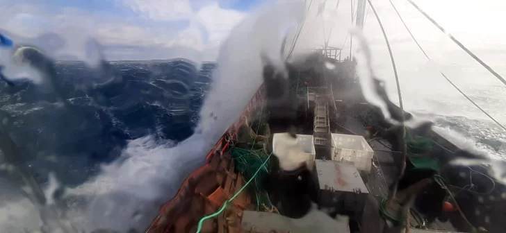 Suspendieron la prospección del langostino en aguas de Chubut pero habilitarán la temporada para la zona norte