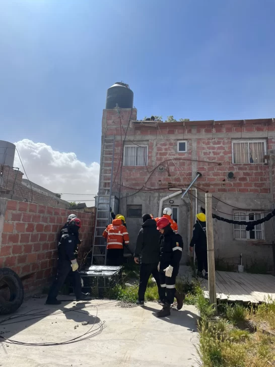 “Uno de los peores temporales de viento en la última década en Las Heras”: árboles de 70 años caídos y voladuras de techos que pudieron ser tragedia