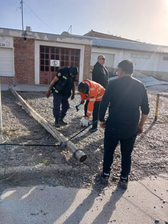 “Uno de los peores temporales de viento en la última década en Las Heras”: árboles de 70 años caídos y voladuras de techos que pudieron ser tragedia