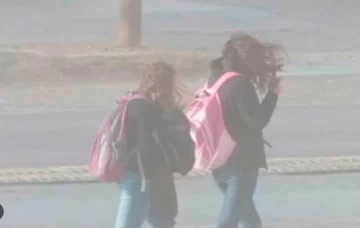 Alerta naranja en Santa Cruz por ráfagas de hasta 130 km/h: cuáles son las principales recomendaciones Alerta naranja en Santa Cruz por ráfagas de hasta 130 km/h: cuáles son las principales recomendaciones