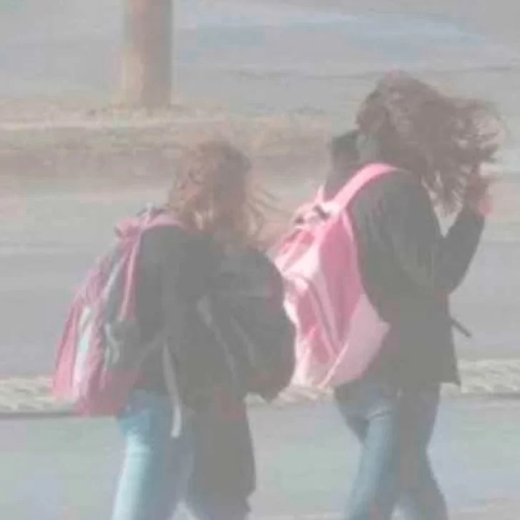 Alerta naranja en Santa Cruz por ráfagas de hasta 130 km/h: cuáles son las principales recomendaciones Alerta naranja en Santa Cruz por ráfagas de hasta 130 km/h: cuáles son las principales recomendaciones