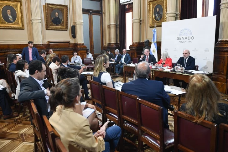 FOTO: SENADO DE LA NACIÓN FOTO: SENADO DE LA NACIÓN