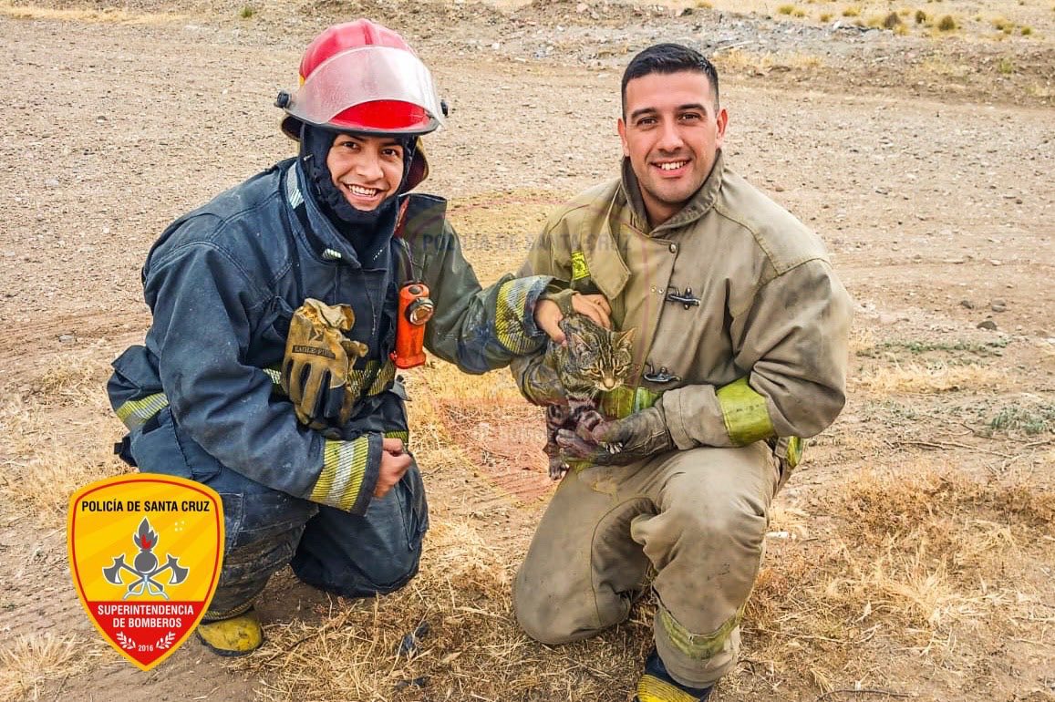  El equipo de emergencia junto al gato rescatado.