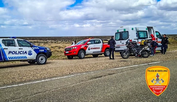 Motociclista chocó contra un guanaco y debió recibir atención médica