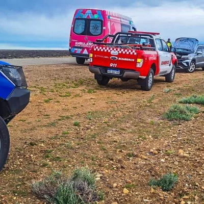 Un vehículo impactó contra un guanaco en la Ruta 3 y fue auxiliado por los bomberos