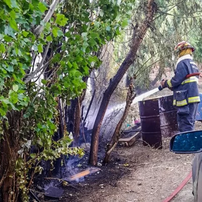 Por una colilla de cigarrillo mal apagada, se generó un incendio en una cortina forestal