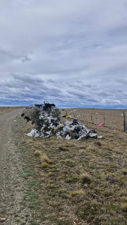 Los microplásticos en la Estancia Punta Loyola complicaron los planes productivos ganaderos. FOTO: LA OPINIÓN AUSTRAL Los microplásticos en la Estancia Punta Loyola complicaron los planes productivos ganaderos. FOTO: LA OPINIÓN AUSTRAL