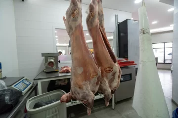 Fiestas de fin de año: ¿cuánto sale un cordero en Río Gallegos?