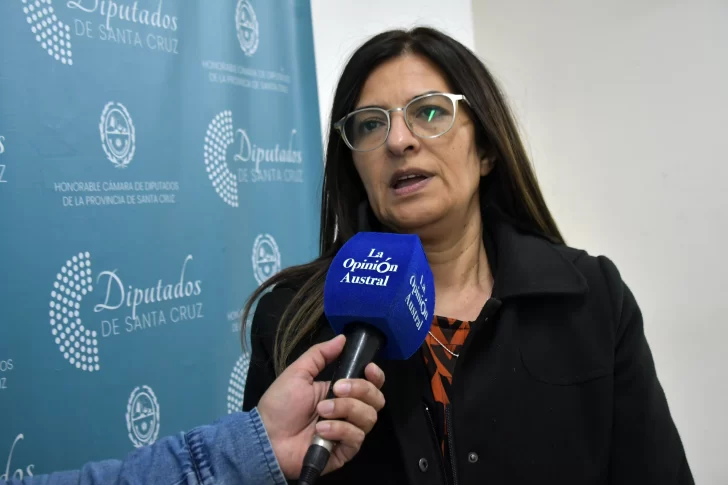  “Es cansador tener que demandar por notas y que no sean respondidas por los ministerios”, indicó la diputada Claudia Barrientos. (Foto: José Silva/La Opinión Austral).