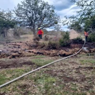 El Consejo Agrario Provincial intervino en incendio forestal en Río Turbio que habría sido provocado por un cigarrillo