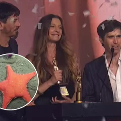 La ciencia ganó en el Martín Fierro de Streaming: el CONICET se llevó la estatuilla de Oro