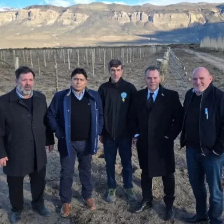 Claudio Vidal, sobre la vitivinicultura: “Apostamos a nuevas formas de producir” Claudio Vidal, sobre la vitivinicultura: “Apostamos a nuevas formas de producir”