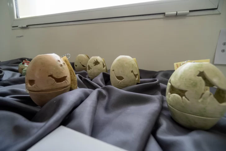  Es la II Edición de la Feria BA+S. Foto: Leandro Franco/La Opinión Austral