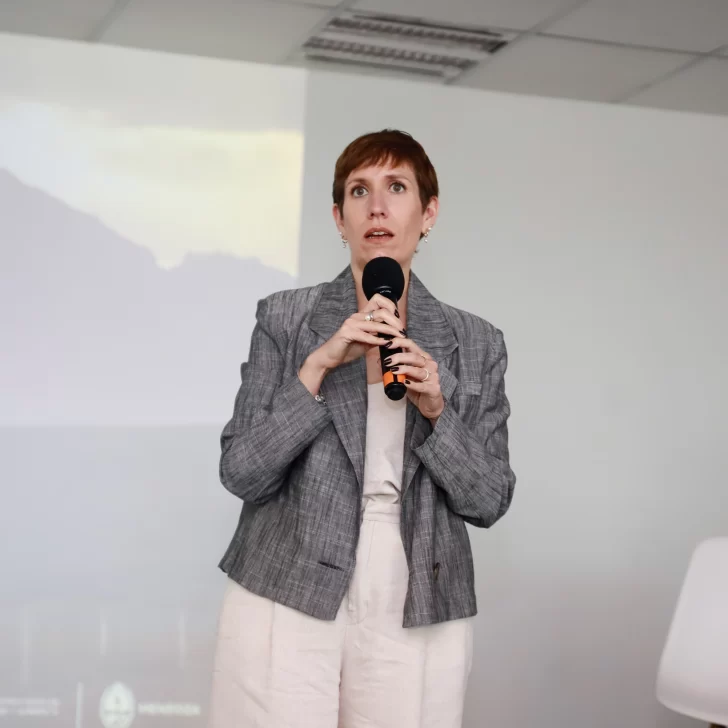 Jimena Latorre presentó en el CFI la licitación de las 17 áreas hidrocarburíferas de la provincia Jimena Latorre presentó en el CFI la licitación de las 17 áreas hidrocarburíferas de la provincia