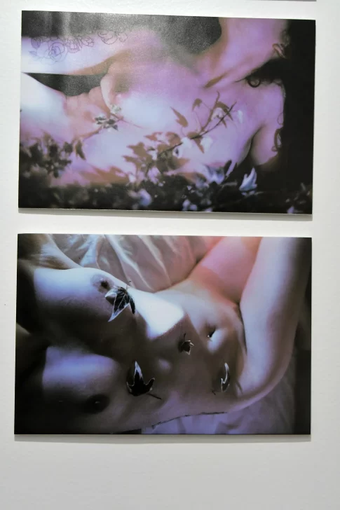 MUESTRA-BROTAMUNDOS-4-485x728