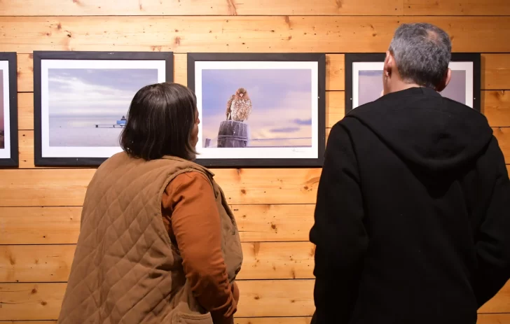 MUESTRA-EDGARDO-CARDENAS-3-728x463