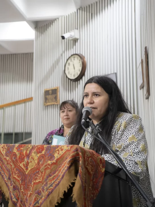 RECONOCIMIENTO-AL-LIBRO-DE-VISITACION-LONCON-1-546x728