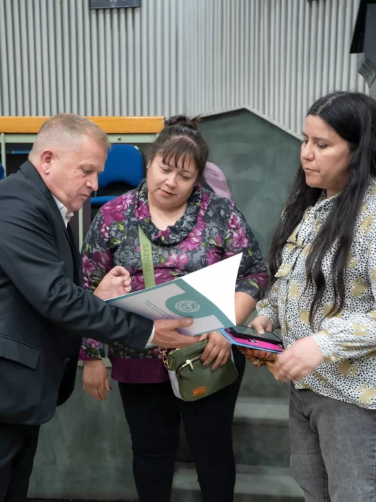 RECONOCIMIENTO-AL-LIBRO-DE-VISITACION-LONCON-2-546x728