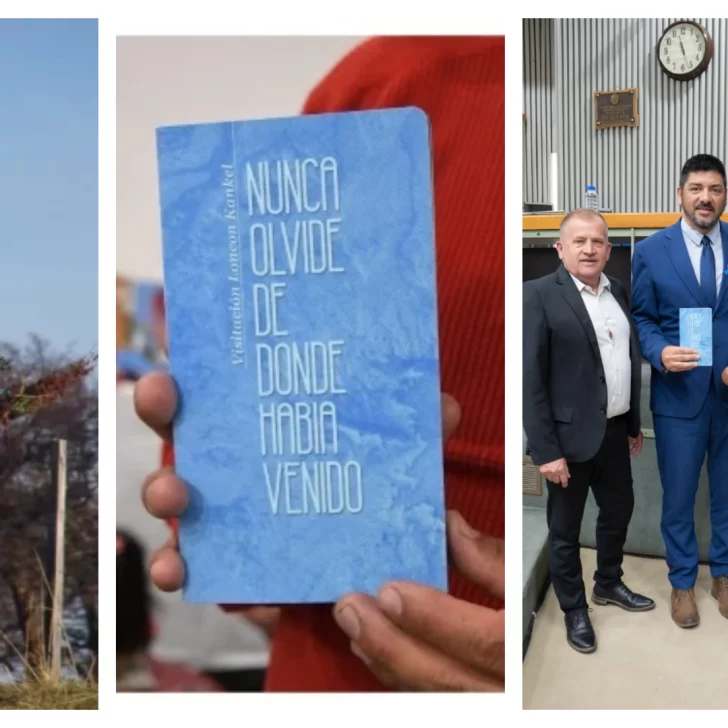 “Que viva nuestra memoria indígena”: la biografía de Visitación Loncon fue declarada de Interés Provincial, Cultural y Educativa “Que viva nuestra memoria indígena”: la biografía de Visitación Loncon fue declarada de Interés Provincial, Cultural y Educativa