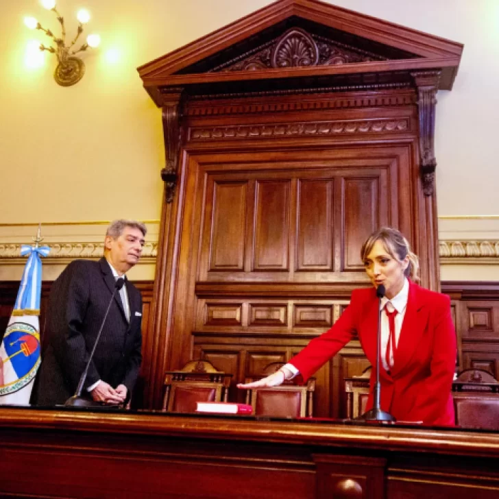 La cristinista Sagasti juró como nueva integrante del Consejo de la Magistratura La cristinista Sagasti juró como nueva integrante del Consejo de la Magistratura