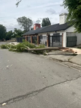 Proponen la creación de una comisión de seguimiento de la emergencia climática Proponen la creación de una comisión de seguimiento de la emergencia climática