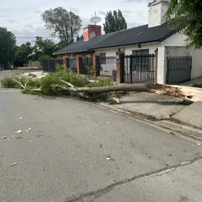Proponen la creación de una comisión de seguimiento de la emergencia climática