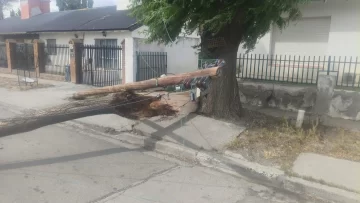 Río Gallegos: el temporal de viento provocó caída de árboles y cables y SPSE recordó el número de emergencia Río Gallegos: el temporal de viento provocó caída de árboles y cables y SPSE recordó el número de emergencia