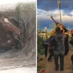 Bomberos rescataron a un caballo que cayó en un pozo de 4 metros 