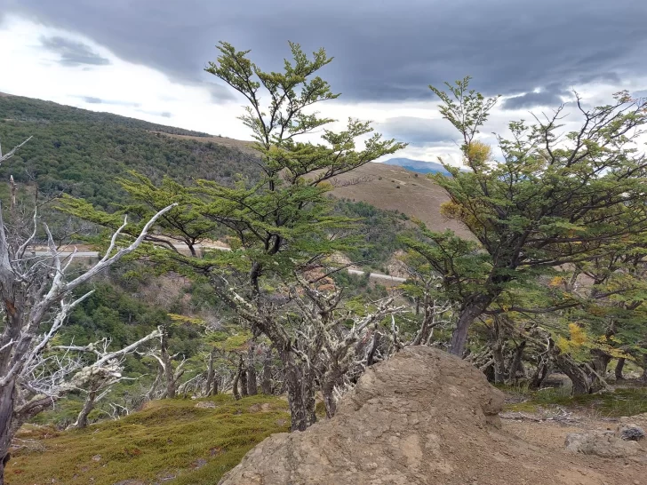 Diputados quieren sancionar un nuevo feriado para empleados públicos de Santa Cruz en diciembre