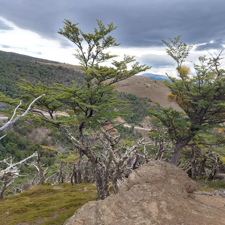 Diputados quieren sancionar un nuevo feriado para empleados públicos de Santa Cruz en diciembre Diputados quieren sancionar un nuevo feriado para empleados públicos de Santa Cruz en diciembre