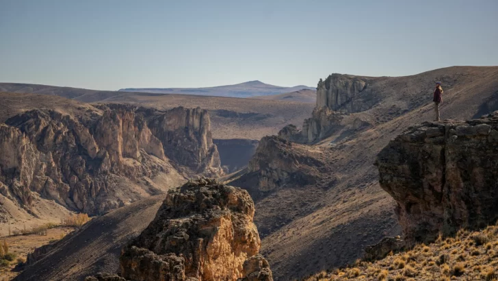  El Portal Cañadón Pinturas es el lugar ideal para el avistaje de fauna silvestre.