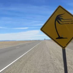 A causa de los fuertes vientos restringieron las circulación en la ruta nacional N° 40 entre La Esperanza y El Calafate