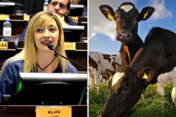 Una diputada kirchnerista propuso un impuesto a las flatulencias de las vacas y desató la polémica: “Hay una desinformación abismal”