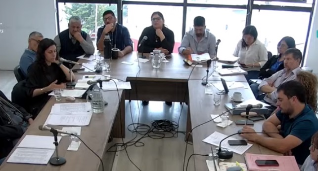  La diputada Agostina Mora (Unión por la Patria) fue una de las que remarcó sus reparos sobre el endeudamiento.