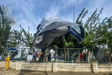 El viento no dio tregua en Río Gallegos: 28 intervenciones de bomberos y severas complicaciones en toda la ciudad El viento no dio tregua en Río Gallegos: 28 intervenciones de bomberos y severas complicaciones en toda la ciudad