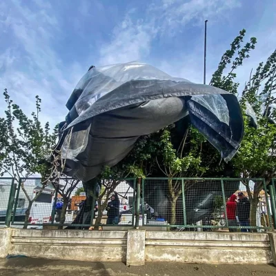 El viento no dio tregua en Río Gallegos: 28 intervenciones de bomberos y severas complicaciones en toda la ciudad El viento no dio tregua en Río Gallegos: 28 intervenciones de bomberos y severas complicaciones en toda la ciudad