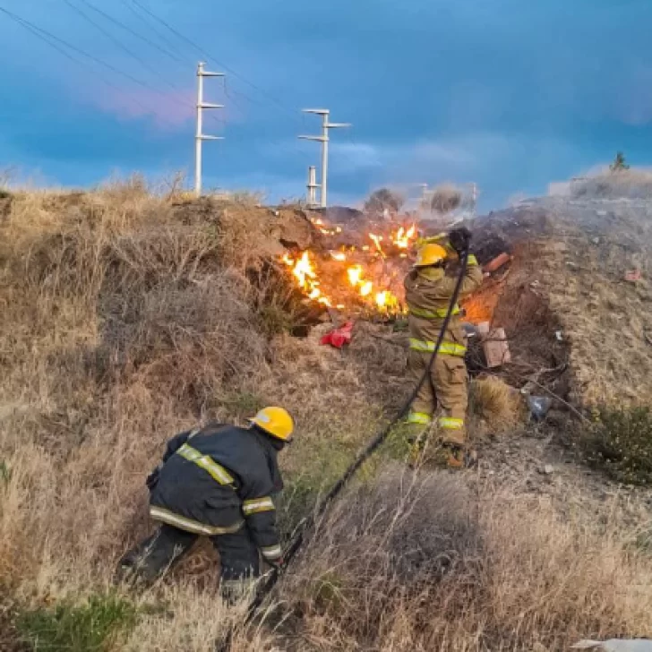 Extinguieron un incendio de pastizales en Caleta Olivia: “Sin heridos” Extinguieron un incendio de pastizales en Caleta Olivia: “Sin heridos”