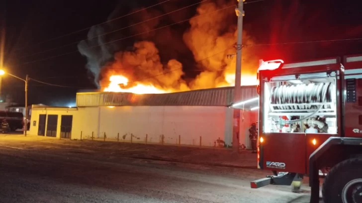  Foto: Digital Chubut.