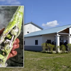 Una zapatilla se recalentó y provocó un principio de incendio en la Unidad Penitenciaria N°2