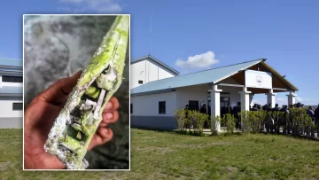 Una zapatilla se recalentó y provocó un principio de incendio en la Unidad Penitenciaria N°2 Una zapatilla se recalentó y provocó un principio de incendio en la Unidad Penitenciaria N°2